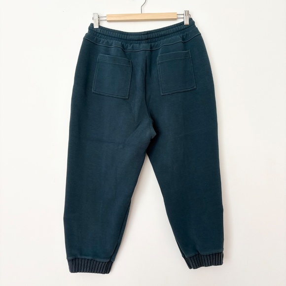 Anthropologie Saturday Sunday Dylan  crop joggers - Picture 6 of 6